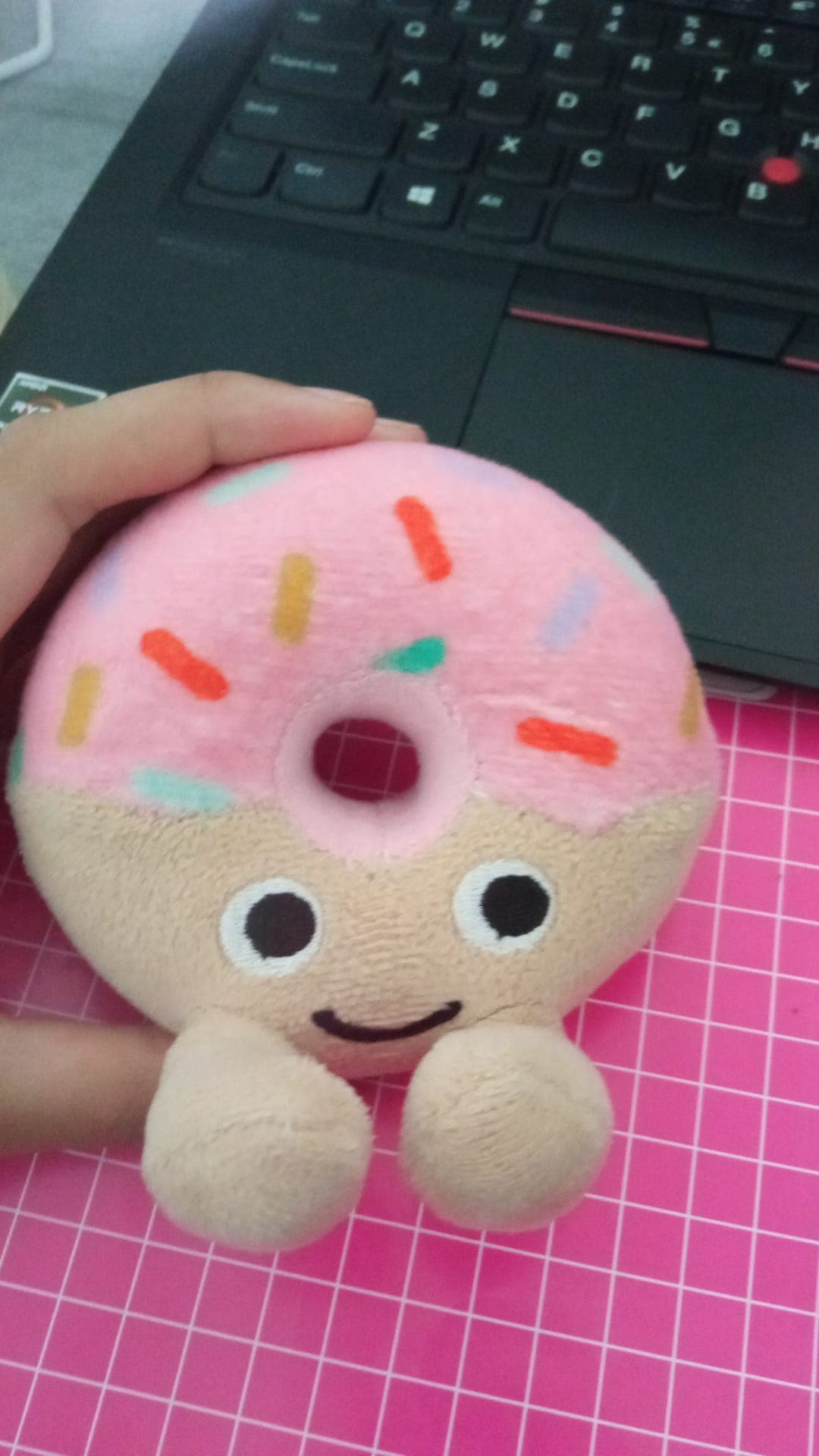 Image of the real-life plushy I used as reference